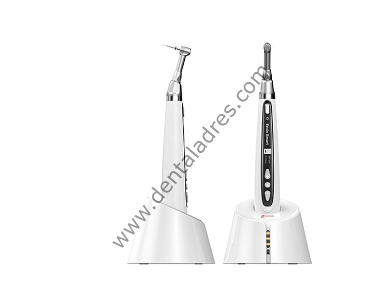 WOODPECKER ENDO SMART