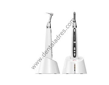 WOODPECKER ENDO SMART